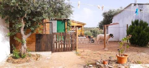 Quintinha com 2 habitações  e piscina— alqueva