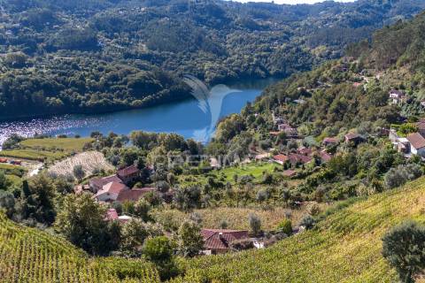 Moradia individual t3 valdosende - gerês