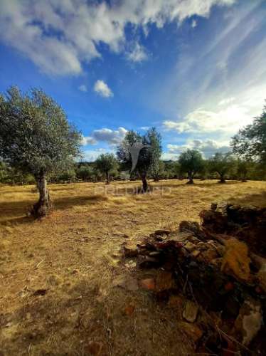 Monte alentejano
