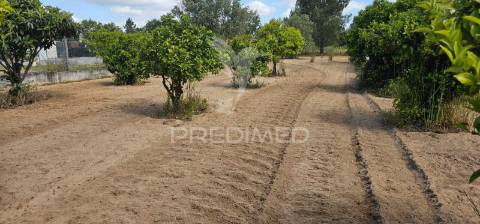 Terreno para construção, coruche