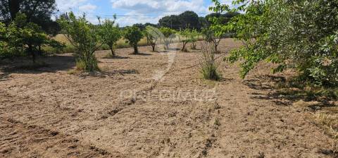 Terreno para construção, coruche