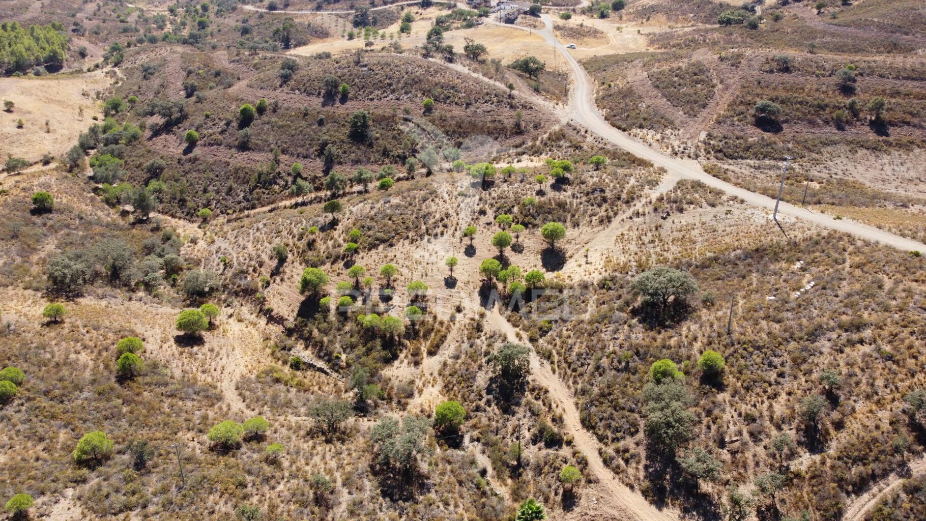 Lotes rusticos com quase 270.000m2 , castro marim
