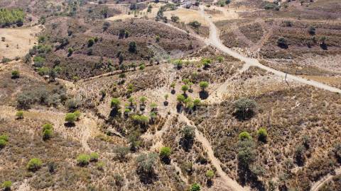 Lotes rusticos com quase 270.000m2 , castro marim