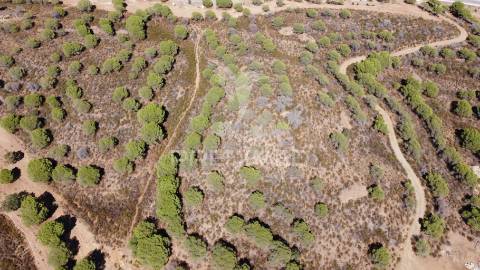 Lotes rusticos com quase 270.000m2 , castro marim