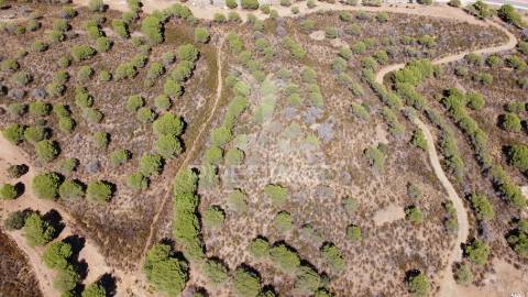 Lotes rusticos com quase 270.000m2 , castro marim