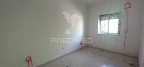 T1 renovado