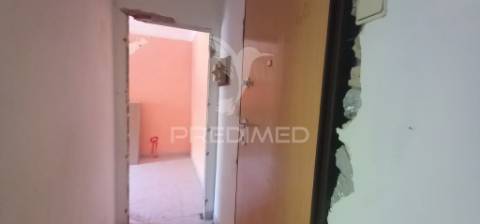 T1 renovado