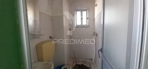 T1 renovado