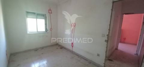 T1 renovado