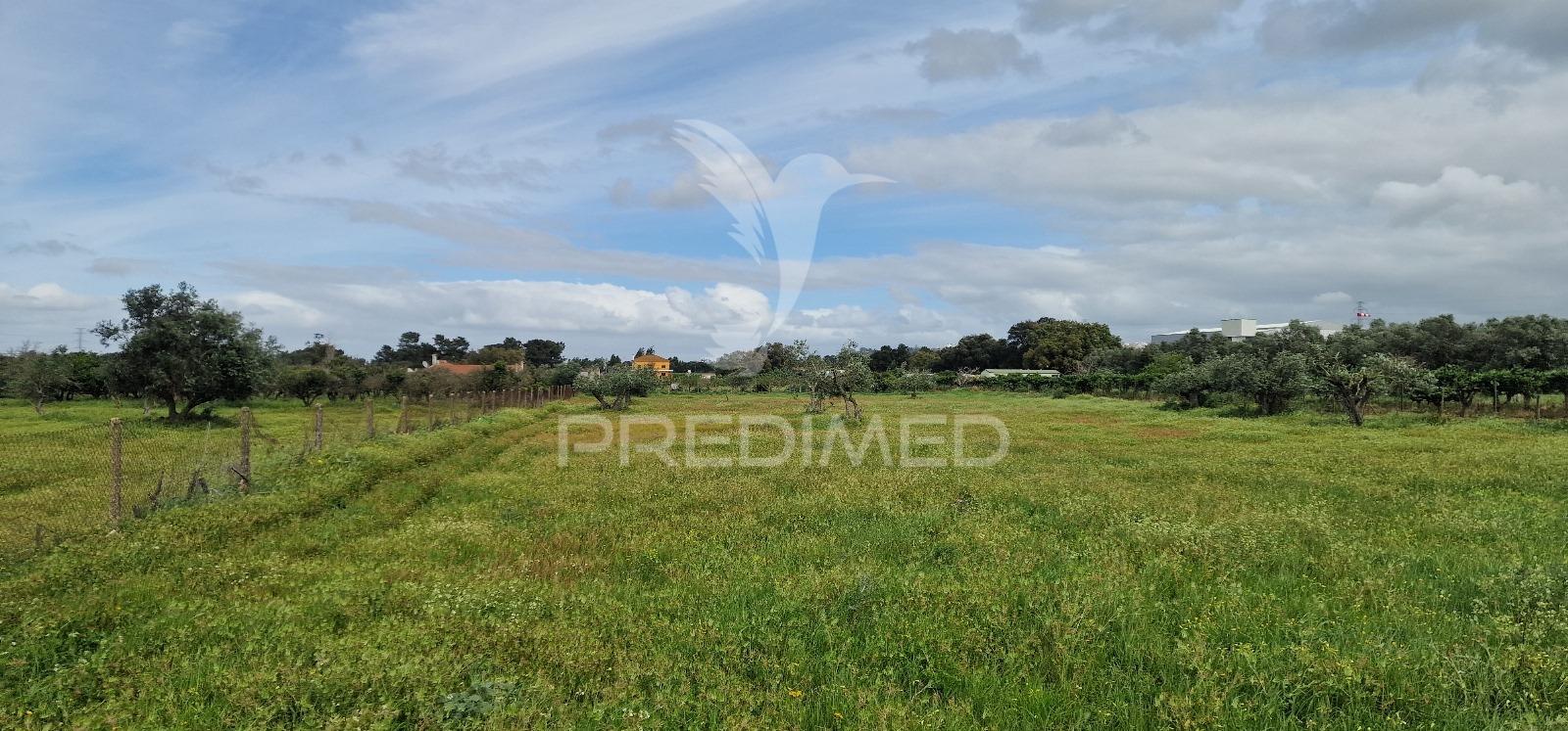 Terreno, duas frentes, com possibilidade de construção, palmela / quinta do anjo