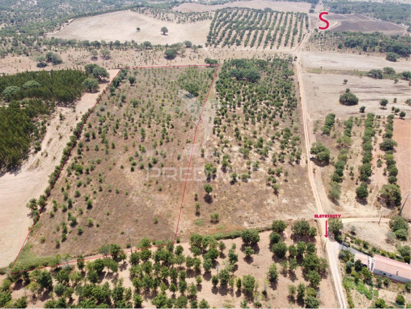 Terreno com 31 000 m2,cercal,santiago do cacém.
