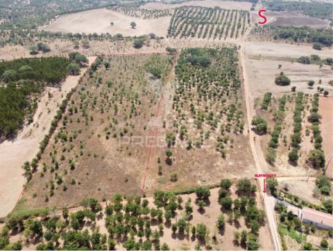 Terreno com 31 000 m2,cercal,santiago do cacém.