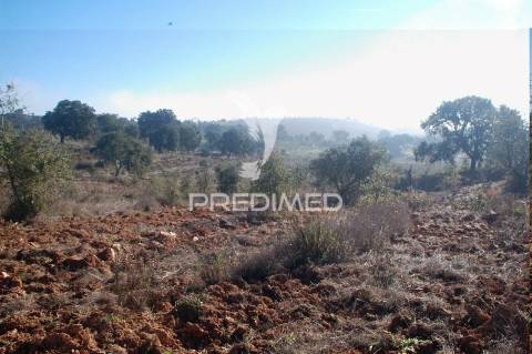 Terreno com 31 000 m2,cercal,santiago do cacém.