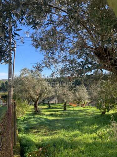 Terreno para construção em alvega