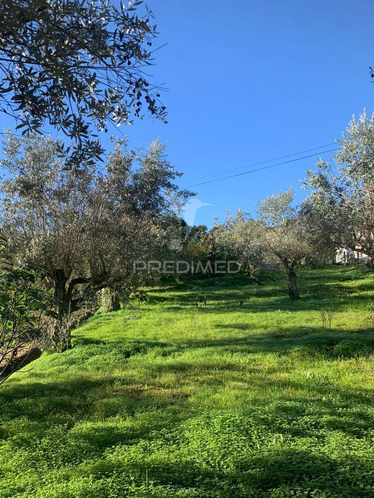 Terreno para construção em alvega