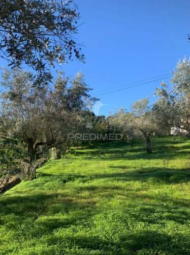 Terreno para construção em alvega