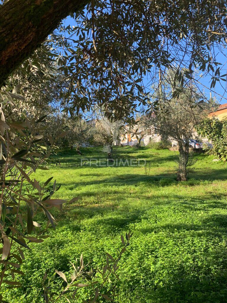 Terreno para construção em alvega