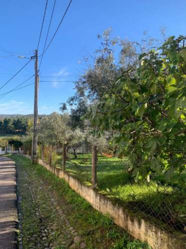 Terreno para construção em alvega