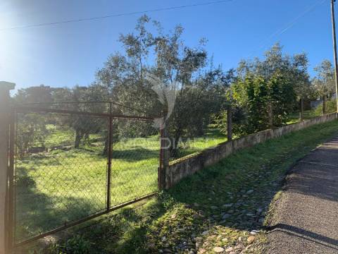 Terreno para construção em alvega