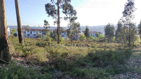 Terreno urbano em lousado
