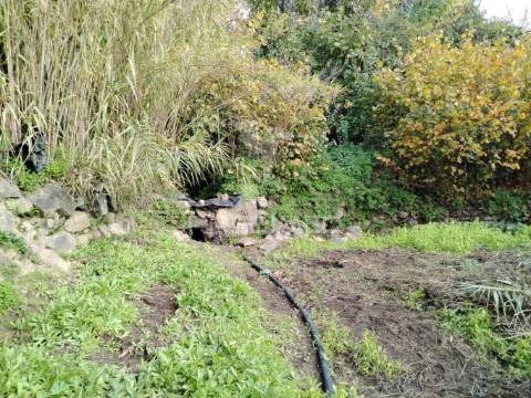 Terreno carreiras