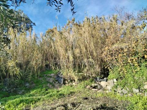 Terreno carreiras