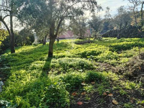 Terreno carreiras