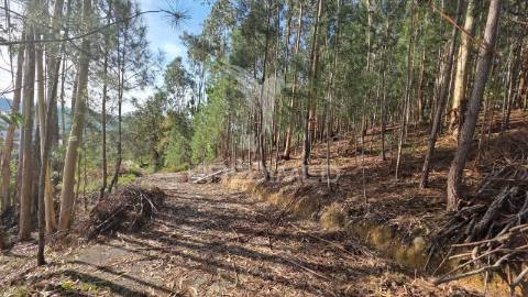 Oportunidade - terreno urbano com 842 m² – santa eufémia, leiria