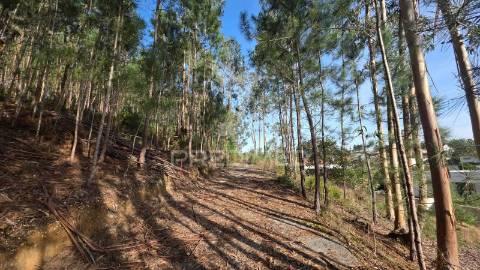 Oportunidade - terreno urbano com 842 m² – santa eufémia, leiria