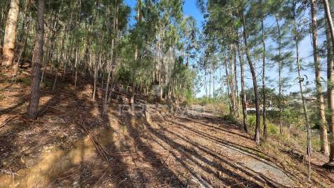 Oportunidade - terreno urbano com 842 m² – santa eufémia, leiria