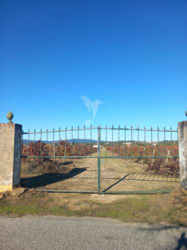 Quinta agricola