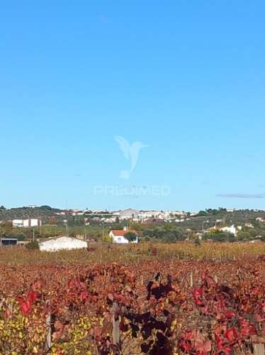 Quinta agricola