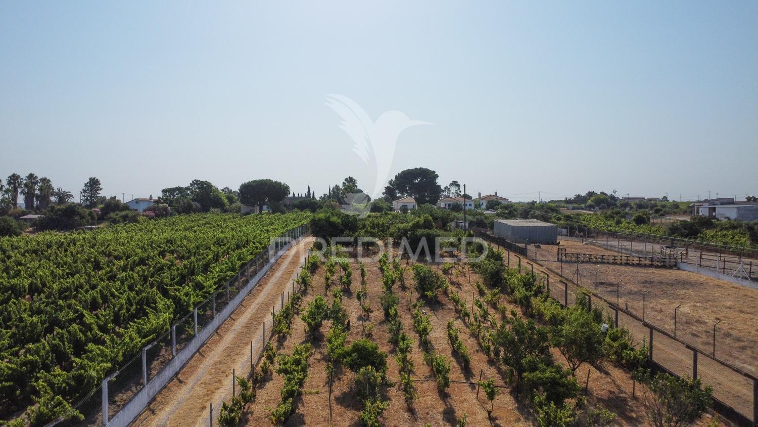 Maravilhosa quinta rural com terreno com 55750m2
