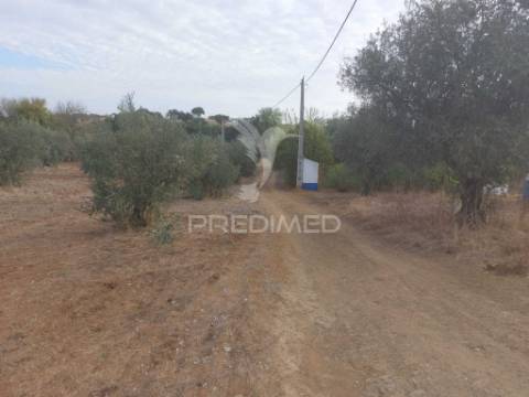 Monte no alentejo