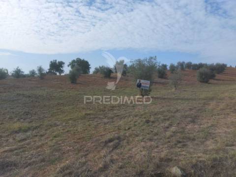 Monte no alentejo
