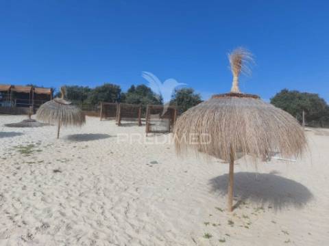 Monte no alentejo