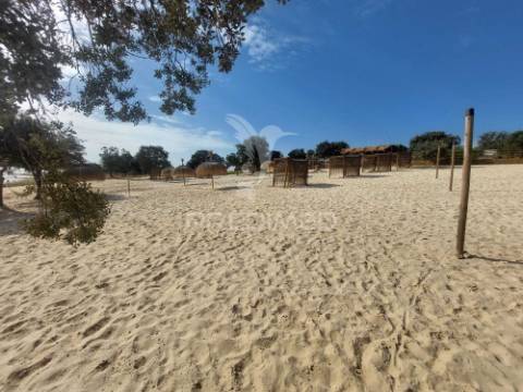 Monte no alentejo
