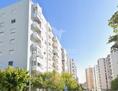 T3 castelo branco