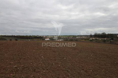 Terreno urbanizável com 38.500 m² – uma oportunidade exclusiva em sousel