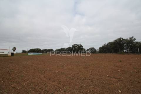 Terreno urbanizável com 38.500 m² – uma oportunidade exclusiva em sousel