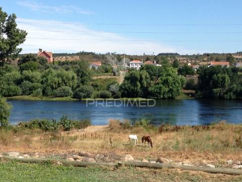Quinta para eventos, com moradia t3, junto ao tejo em alvega