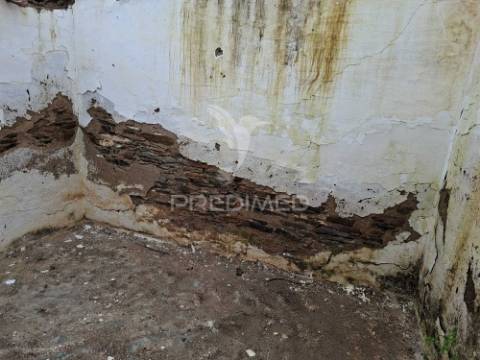Moradia com 4 divisões + terreno rustico com 2750m2