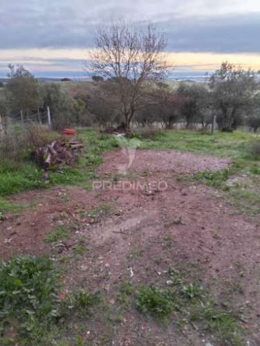Moradia tipologia t2 com excelente quintal