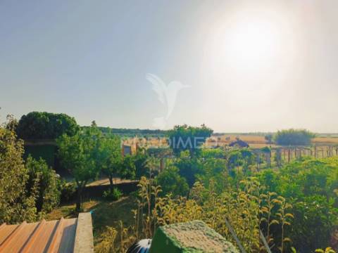 Quinta da balofa, próxima de estremoz com 11625 m2
