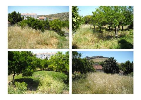 Quinta horta das laranjeiras elvas boa fé