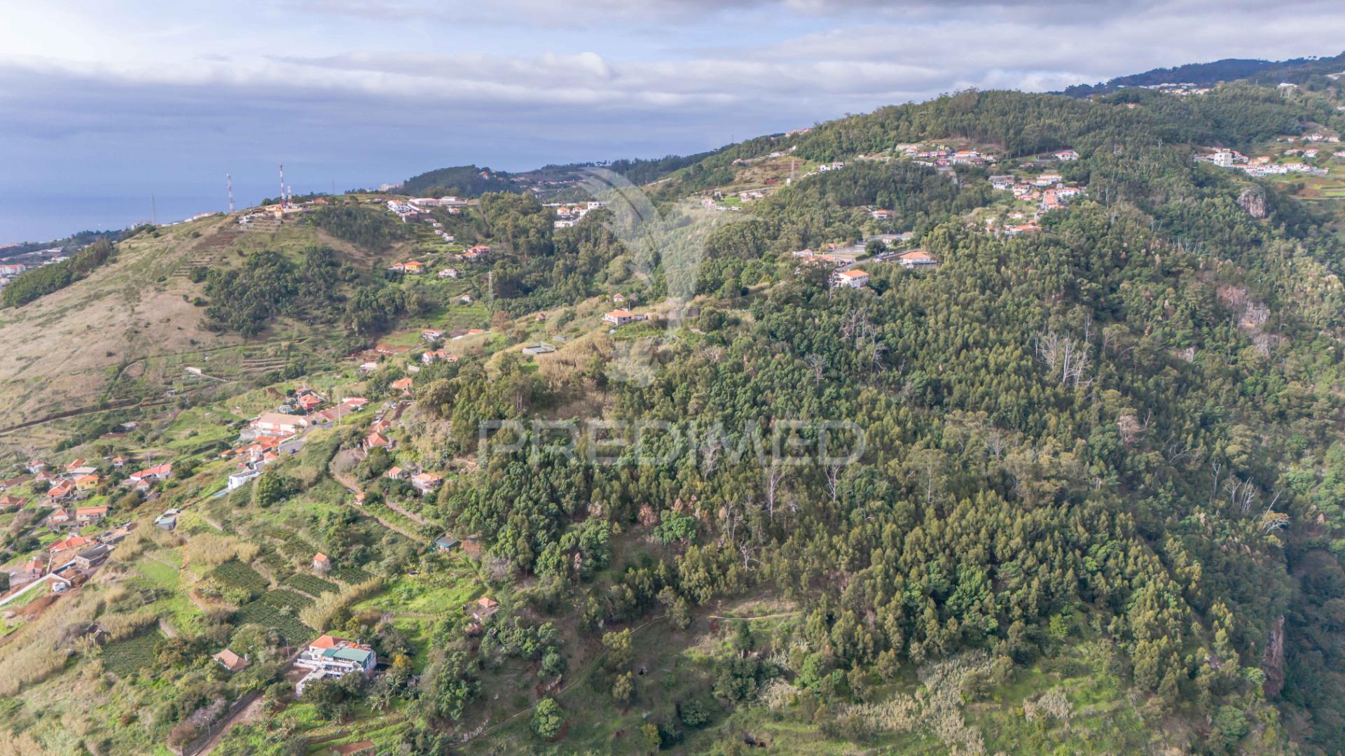 Terreno com ruina no caniço ilha da madeira