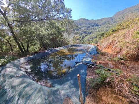 Terreno com 21 500,00 m2 à venda em caniçal