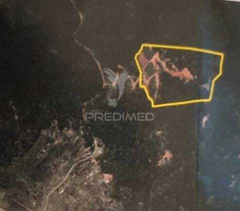 Terreno com 21 500,00 m2 à venda em caniçal