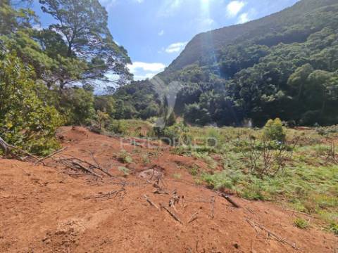 Terreno com 21 500,00 m2 à venda em caniçal