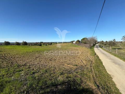 Oportunidade única no ribatejo armazém agrícola para restaurar | ~3 hectares | ponte nova – casével – santarém
